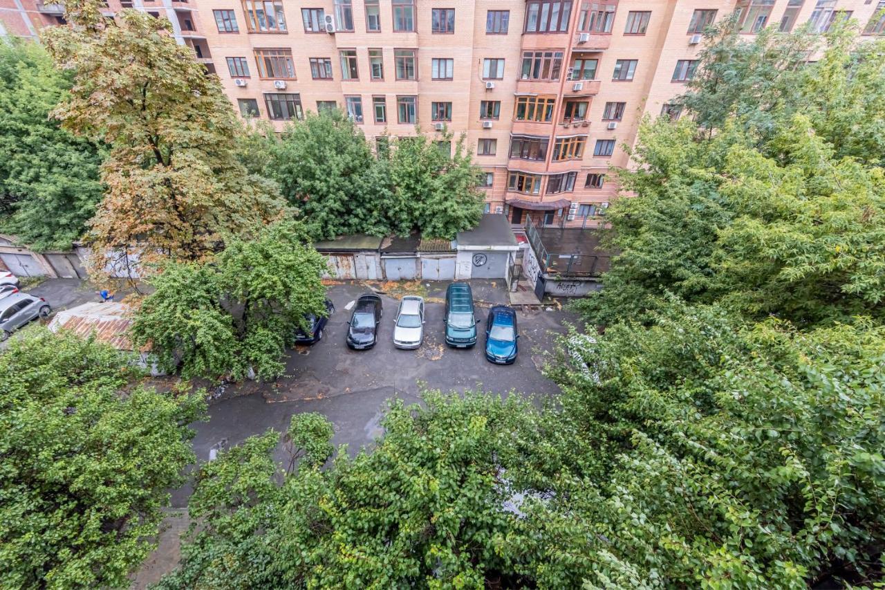 Apartment Brown Loft Kyiv